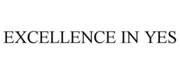 EXCELLENCE IN YES
