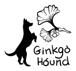 GINKGO HOUND