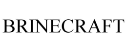 BRINECRAFT