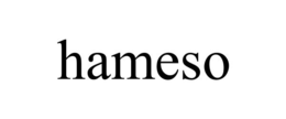 HAMESO