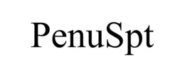 PENUSPT