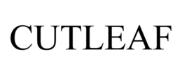 CUTLEAF