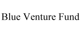 BLUE VENTURE FUND