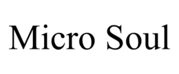 MICRO SOUL