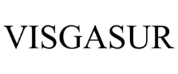 VISGASUR