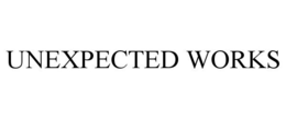UNEXPECTED WORKS