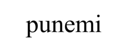 PUNEMI