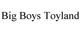 BIG BOYS TOYLAND