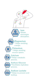 6 IONS IONS ALLOW ELECTROLYTE ABSORPTION. MG MAGNESIUM *HELPS AVOIDING CRAMPS. K POTASSIUM *HELPS AVOIDING MUSCLE SPASM. CA CALCIUM *HELPS METABOLIC PROCESS. SODIUM GLUCOSE SODIUM-GLUCOSE *FACILITATES HYDRATION PROCESS. SODIUM LACTATE SODIUM LACTATE *HELPS TO PREVENT ACID BUILDUP.