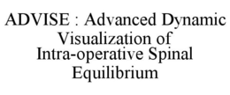 ADVISE : ADVANCED DYNAMIC VISUALIZATION OF INTRA-OPERATIVE SPINAL EQUILIBRIUM