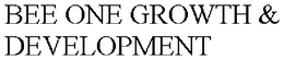 BEE ONE GROWTH & DEVELOPMENT