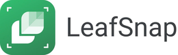 LEAFSNAP
