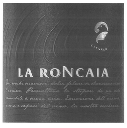 CERGNEU, LA RONCAIA, DAI RONCHI MARNOSI, DOLCI FILARI SI SLANCIANO VERSO L'AZZURRO. PROMETTONO LO STUPORE DI UN VOLO IMMOBILE A MEZZ'ARIA. EMOZIONI DELL'ANIMA, AROMI E SAPORI DEL VINO, LA NOSTRA RICCHEZZA