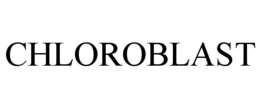 CHLOROBLAST