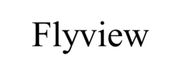 FLYVIEW