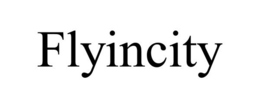 FLYINCITY