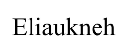 ELIAUKNEH