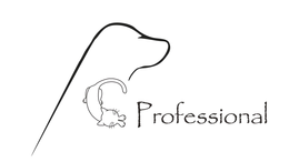 PCPROFESSIONAL