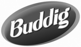 BUDDIG
