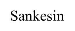 SANKESIN