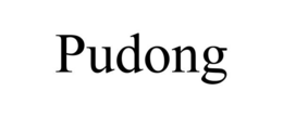 PUDONG