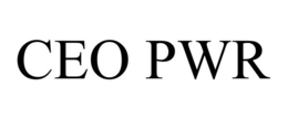 CEO PWR