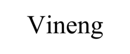 VINENG