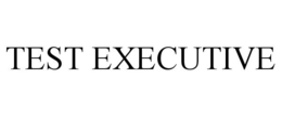 TEST EXECUTIVE