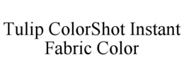 TULIP COLORSHOT INSTANT FABRIC COLOR