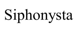 SIPHONYSTA