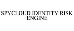 SPYCLOUD IDENTITY RISK ENGINE