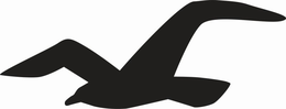 HOLLISTER CALIFORNIA