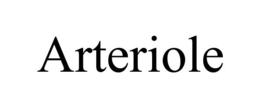 ARTERIOLE