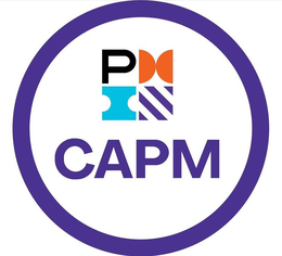 P CAPM