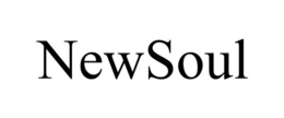 NEWSOUL