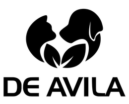 DE AVILA
