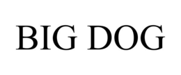 BIG DOG