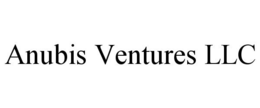 ANUBIS VENTURES LLC