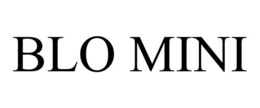 BLO MINI