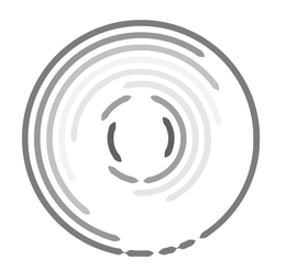 97064629