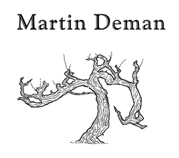 MARTIN DEMAN