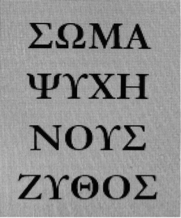 97113503