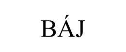 BÁJ