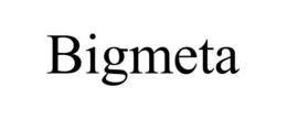 BIGMETA