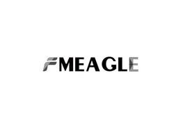 FMEAGLE