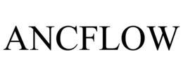 ANCFLOW