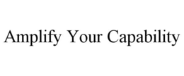 AMPLIFY YOUR CAPABILITY