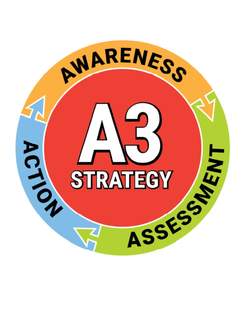 A3 STRATEGY AWARENESS ASSESSMENT ACTION