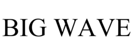 BIG WAVE