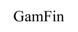 GAMFIN